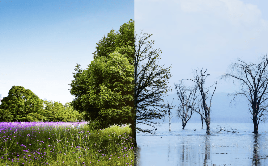 Ganzjährige Wohnbereiche